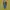 Polo Ralph Lauren Streetwear Luxury Fleece Pria yellow photo 3