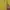 Polo Ralph Lauren Streetwear Luxury Fleece Pria yellow photo 2