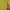 Polo Ralph Lauren Streetwear Luxury Fleece Pria Yellow