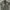 Streetwear Biker Pea Coat Pria Gray