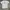 Uniqlo Casual Casual shirt Pria white photo 2