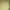 Minimalist Hoody Pria yellow photo 5
