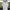 Sportswear Jersey Pria white photo 1