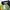 Moncler Luxury Sweater Pria multicolor photo 6