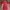 Japanese Brand Sportswear Jersey Pria Red