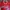 Japanese Brand Sportswear Jersey Pria Red