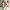 Staccato Luxury Fairy Heels Wanita white photo 1