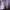 Minimalist Shirt Wanita purple photo 4