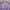 Minimalist Shirt Wanita Purple