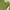 Minimalist Cardigan Wanita green photo 3