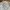 Guess Vintage Streetwear Bomber jacket Wanita white tan photo 4