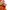 Castelbajac Minimalist Casual Casual shirt Pria orange photo 5