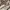 Vintage Y2K Shoulder bag Wanita brown photo 5