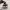 New Balance Biker Sneakers Pria white photo 4