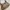Gucci Vintage Luxury Shoulder bag Wanita tan brown photo 3