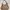 Gucci Vintage Luxury Shoulder bag Wanita tan brown photo 2