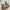 Gucci Vintage Luxury Shoulder bag Wanita tan brown photo 1
