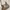 Gucci Vintage Luxury Shoulder Bag Wanita Tan Brown