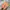 Nike Streetwear Sneakers Pria multicolor photo 5