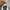 Nike Streetwear Sneakers Pria multicolor photo 2