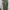 Banana Republic Casual Jumpsuit Wanita green khaki photo 2
