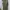 Banana Republic Casual Jumpsuit Wanita Green Khaki