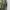 Banana Republic Casual Jumpsuit Wanita green khaki photo 3