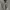 Banana Republic Casual Jumpsuit Wanita Green Khaki