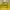 Luxury Casual Handbag Wanita yellow photo 6