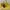 Luxury Casual Handbag Wanita yellow photo 1