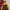 Uniqlo Sportswear Windbreaker Pria Brown Yellow