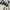 Vintage Minimalist Casual dress Wanita white black photo 2