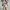 Vintage Minimalist Casual dress Wanita white black photo 5