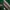 Arnold Palmer Casual Sweater Pria green photo 4