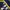 Puma Casual Sweater Pria navy yellow photo 5