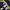 Puma Casual Sweater Pria navy yellow photo 4