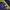 Puma Casual Sweater Pria navy yellow photo 7
