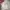 Piko Sports Vintage Streetwear Fleece Pria tan photo 1