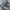 New Balance Sportswear Sneakers Pria gray photo 6