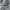 New Balance Sportswear Sneakers Pria Gray