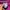 Columbia Sportswear Short Pria pink photo 5