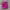 Columbia Sportswear Short Pria pink photo 2