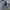 New Balance Sportswear Sneakers Pria navy photo 3