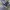New Balance Sportswear Sneakers Pria navy photo 5