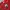 Nike ACG Vintage Streetwear T-shirt Pria Red