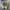 New Balance Sportswear Sneakers Pria tan photo 4