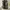 Streetwear Bomber jacket Pria green photo 1