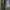Streetwear Bomber jacket Pria green photo 2