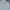 Lacoste Casual Harrington jacket Pria white photo 3