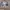 Vintage Y2K Fleece Pria white gray photo 1